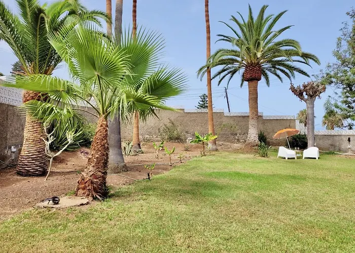 Apartment Don Antonio